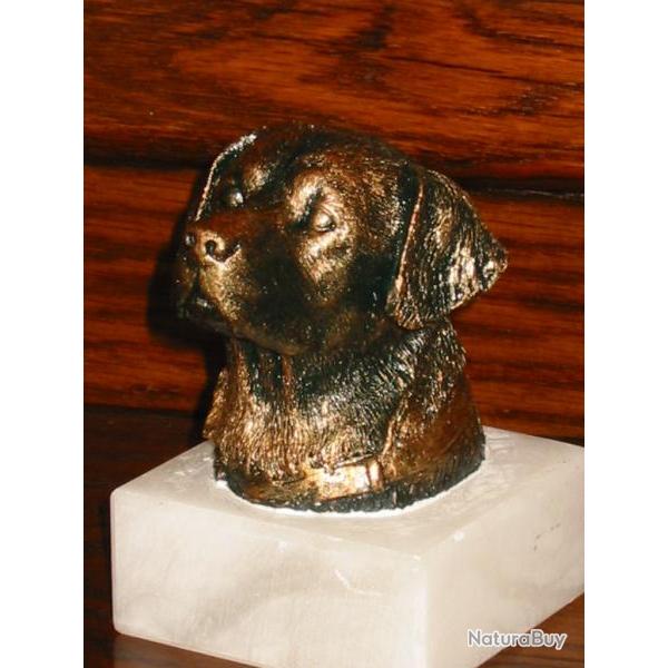Buste de Labrador sur socle