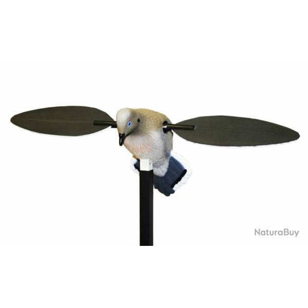 Tourterelle  ailes tournantes MOJO