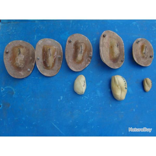 lot de moulage divers pour taxidermiste (chevreuils,oiseaux,renards) + fiche technique. lot N3