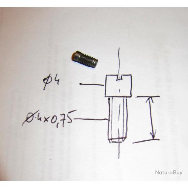 Paire de Vis m�tal armes de chasse ( VM002)