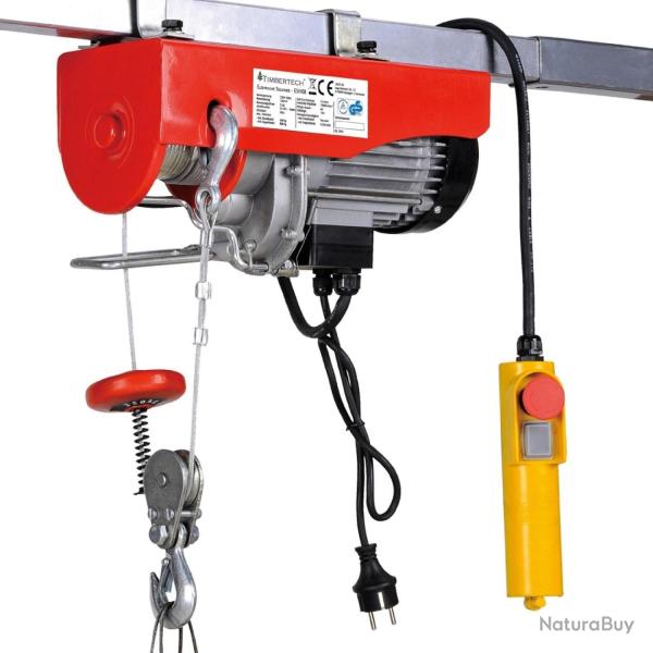 Palan treuil �lectrique pro avec t�l�commande 500 W 100/200 kg outils atelier garage 3402133