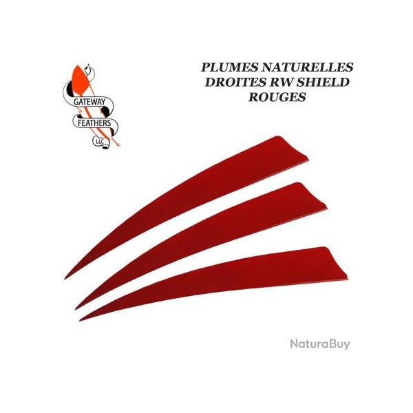 GATEWAY FEATHERS Plumes naturelles unies RW Shield Rouge 5" pouces