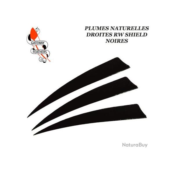 GATEWAY FEATHERS Plumes naturelles unies RW Shield Noir 5" pouces