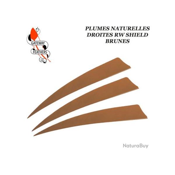 GATEWAY FEATHERS Plumes naturelles unies RW Shield 5" pouces Brun Clair