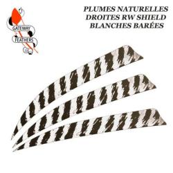 GATEWAY FEATHERS Plumes naturelles barr&eacute;es RW Shield 5" pouces Bar&eacute;e Blanche