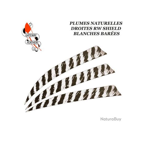 GATEWAY FEATHERS Plumes naturelles barr�es RW Shield 5" pouces Bar�e Blanche