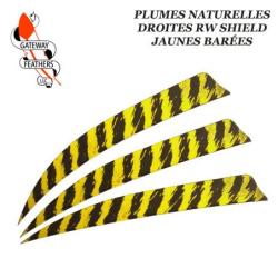GATEWAY FEATHERS Plumes naturelles barr&eacute;es RW Shield 5" pouces Bar&eacute;e Jaune
