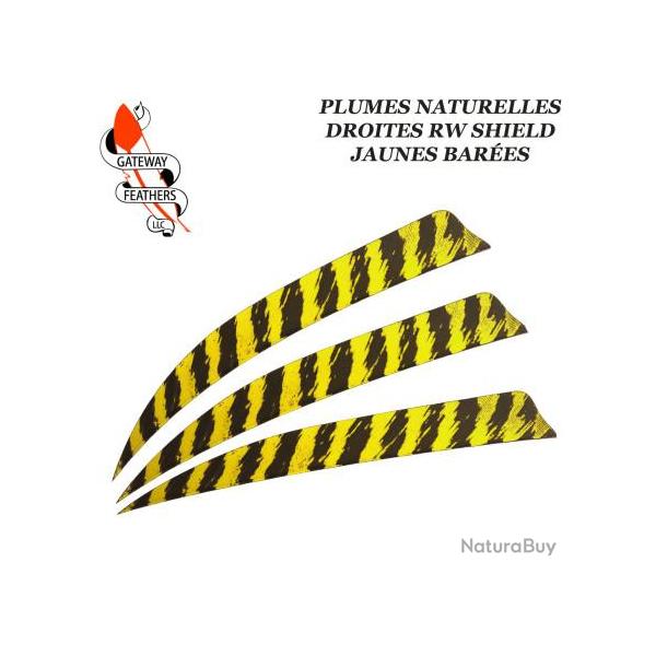 GATEWAY FEATHERS Plumes naturelles barr�es RW Shield 5" pouces Bar�e Jaune