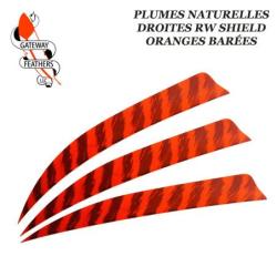 GATEWAY FEATHERS Plumes naturelles barr&eacute;es RW Shield 5" pouces Barr&eacute;e Orange