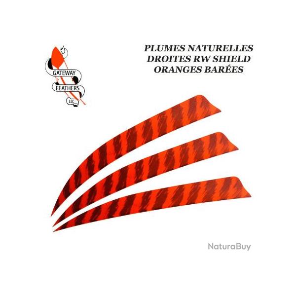 GATEWAY FEATHERS Plumes naturelles barr�es RW Shield 5" pouces Barr�e Orange