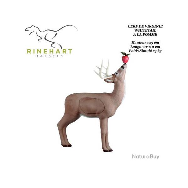 RINEHART Cible 3D Cerf de Virginie Whitetail � la pomme en mousse pour le tir � l'arc