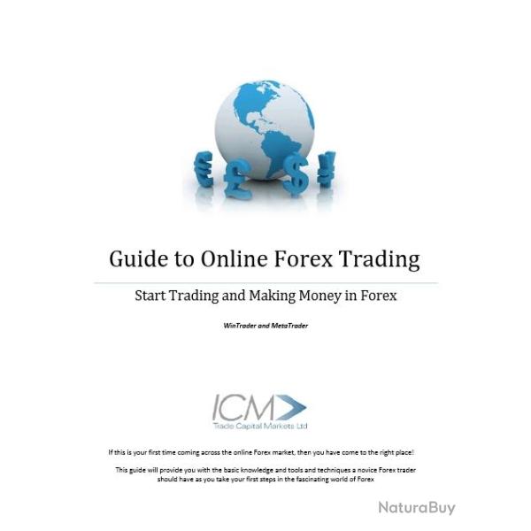 Ebook Livre Action - Guide To Online Forex Trading Start Trading And Making Money In Forex (Phnix,
