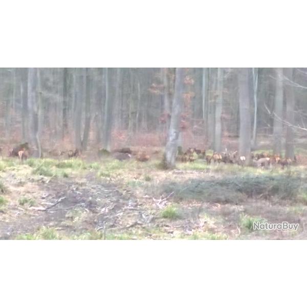 carte de chasse � louer petit et grand gibier dans l'oise