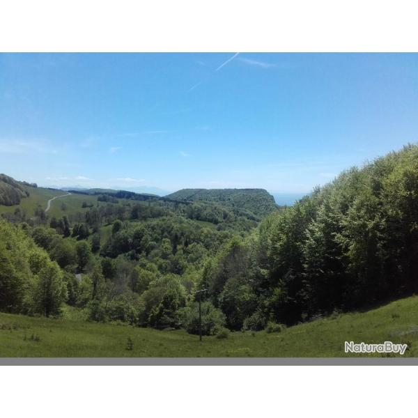 Action de chasse dans le Bugey (01)