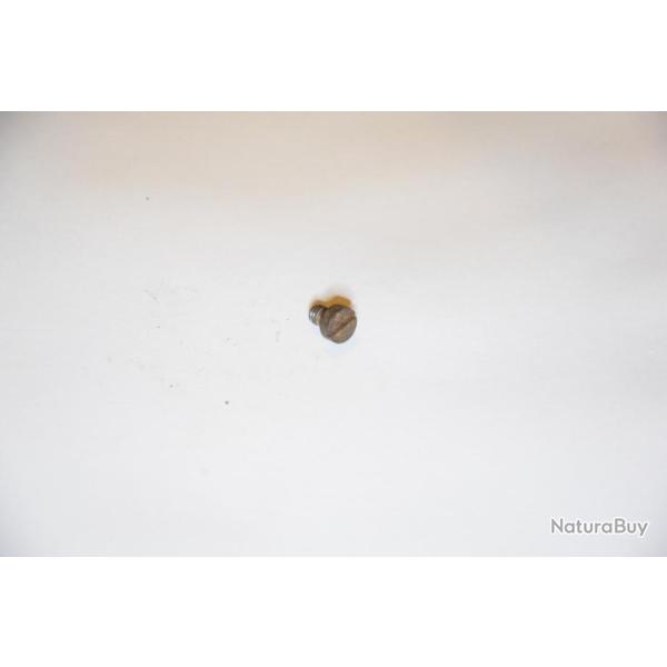 Vis de berceau de carabine Mas45, Mas 45