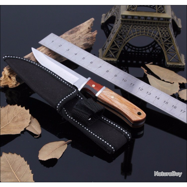 Joli Petit Couteau Droit Avec housse en nylon