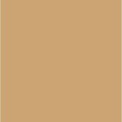 Spray / Bombe Peinture Sable Tropical (Fosco)