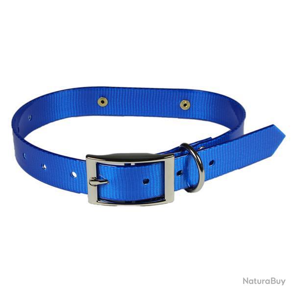 Collier Fluo BLEU brillant pour chien