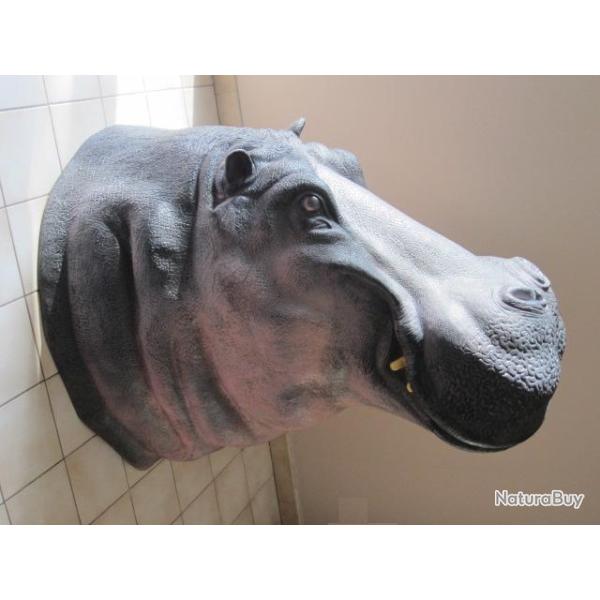 Naturalis� chasse  r�plique hippopotame en r�sine taille r�elle