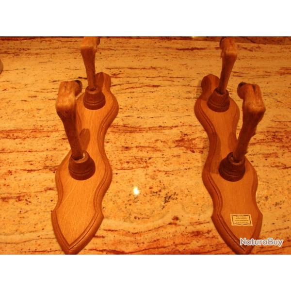 4 pattes de chevreuils en porte fusils