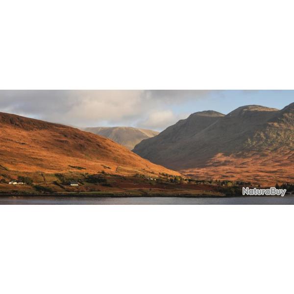 Irlande: bcasses et petit gibier naturel au chien d'arrt