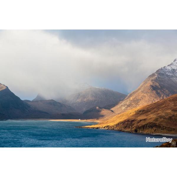 Grouses au chiens d'arrt, 10 grouses inclues par jour, tout compris