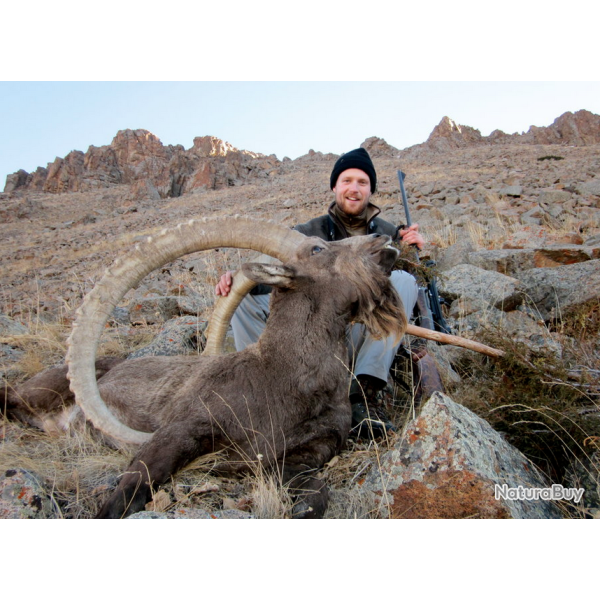 Kirghizstan: Ibex � l'approche, organisateur pr�sent, tout compris