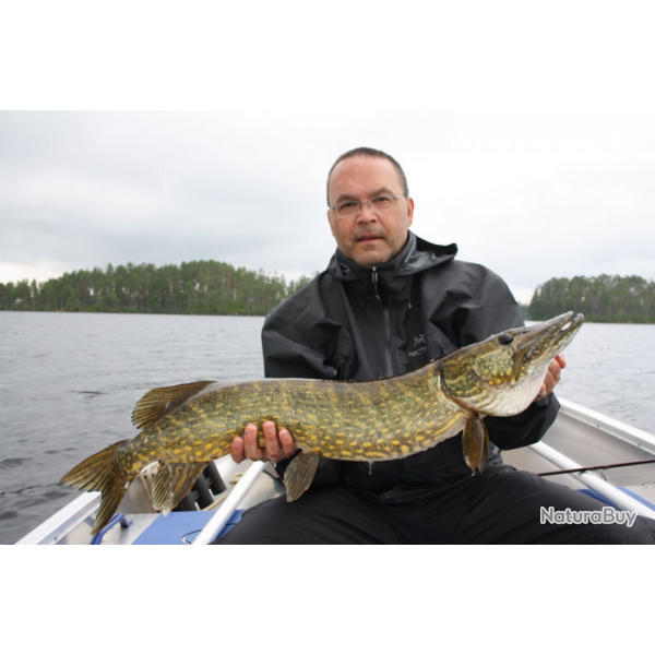 Su�de: P�che au brochet, tout compris