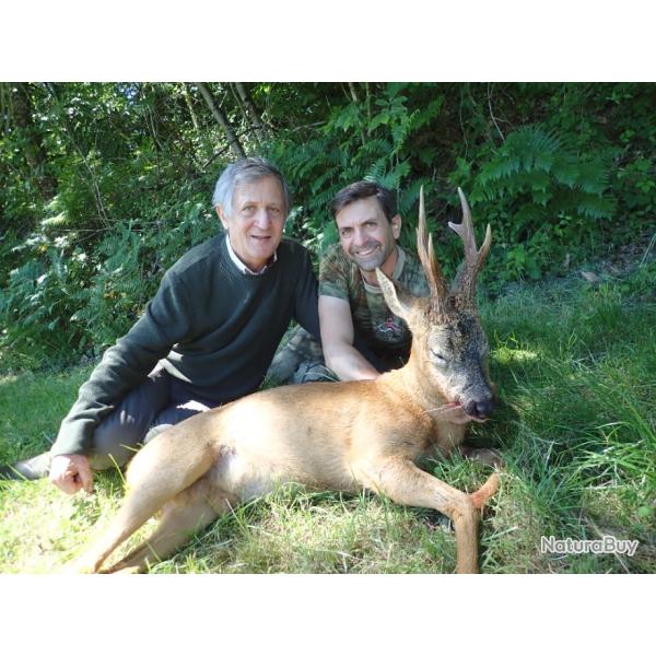 Chasse du Brocard en tir d'�t� dans le Sud Ouest