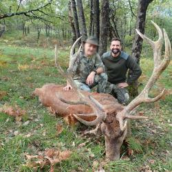 Chasse du Cerf au Brame dans les Pyr&eacute;n&eacute;es.