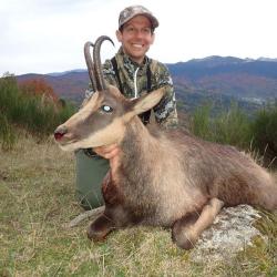 Chasse de l'Isard &agrave; l'approche dans les Pyr&eacute;n&eacute;es