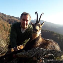 Chasse de l'Isard &agrave; l'approche dans les Pyr&eacute;n&eacute;es