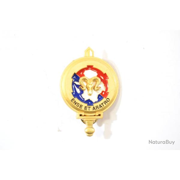 Insigne Groupement de Camp  MAILLY Ense et aratro. Delsart G4679