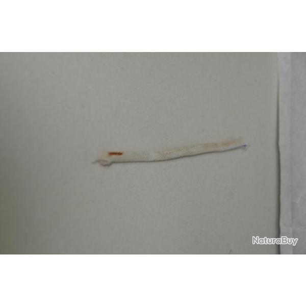 Suite dbarra de mon grenierMeche pour lampes pigeon