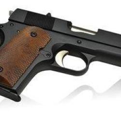 Detonics 45 Pro v2 Gaz Blowback Metal Noir (Army Armament)