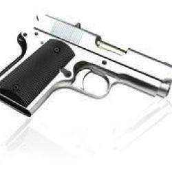 Detonics 45 Pro v2 Gaz Blowback Metal Argent (Army Armament)
