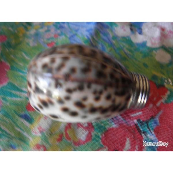 vintage poivrire fait  partir de coquille nacre et plaque argent