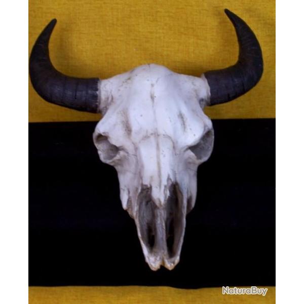FIGURINE CRANE DE BISON MURAL TETE DE MORT DECORATION MURALE far-west COUNTRY