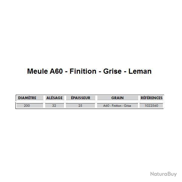 Meule touret vitrifi�e corindon 200x25x32 Gr 60 22506 Leman