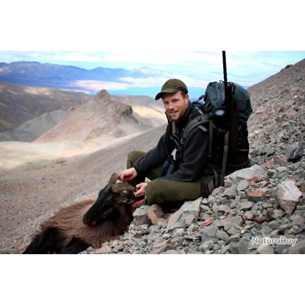Chasses de montagne en Nouvelle Zlande