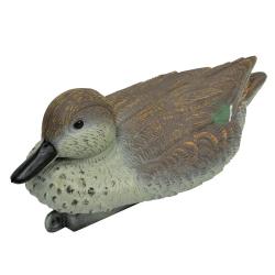 Blette de Sarcelle d'hiver femelle r&eacute;sistant