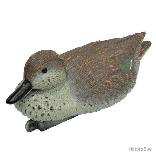 Blette de Sarcelle d'hiver femelle r�sistant