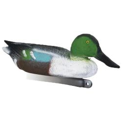 Blette de Souchet m&acirc;le taille r&eacute;elle