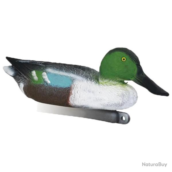 Blette de Souchet mle taille relle