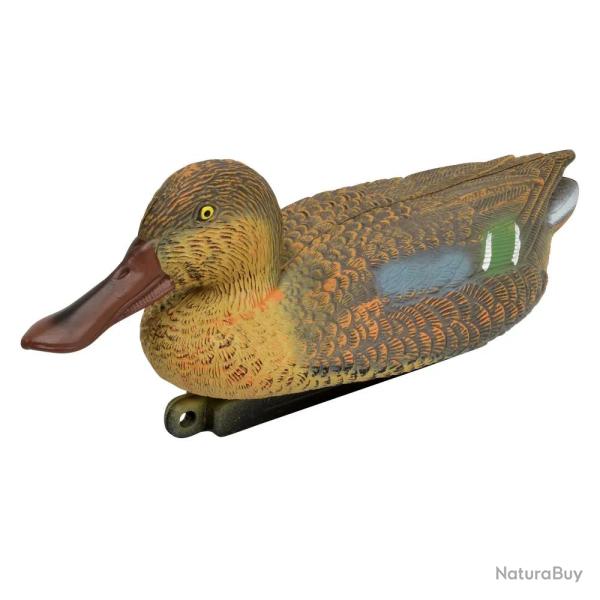 Blette de Souchet femelle r�aliste