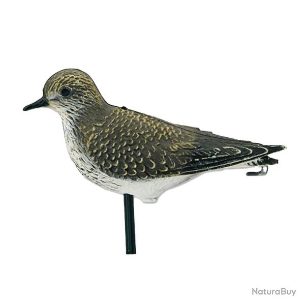 Pluvier dor� r�aliste