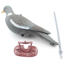 Appelant Pigeon au pos&eacute; &agrave; l'unit&eacute;