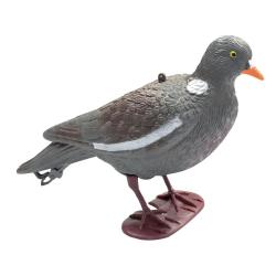 Appelant Pigeon au pos&eacute; &agrave; l'unit&eacute;