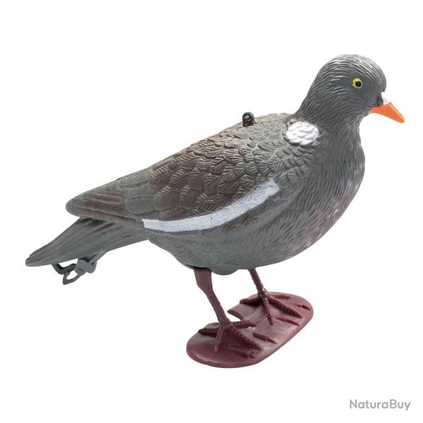 Appelant Pigeon au pos� � l'unit�