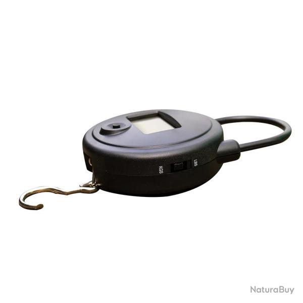 Peson �lectronique 25 KG graduation en 10g